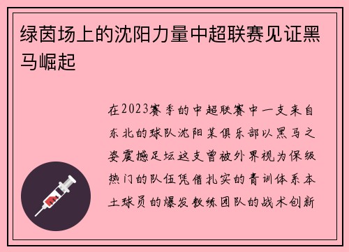 绿茵场上的沈阳力量中超联赛见证黑马崛起