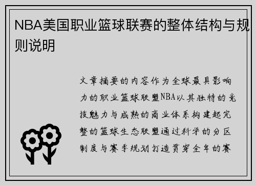 NBA美国职业篮球联赛的整体结构与规则说明